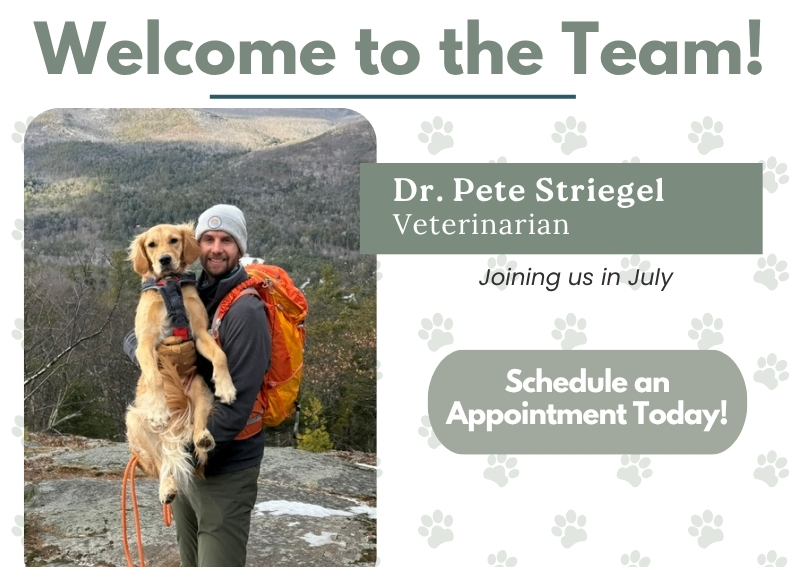 Carousel Slide 3: Welcome Dr. Striegel!